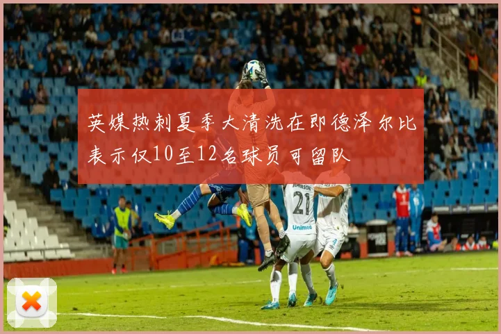 英媒热刺夏季大清洗在即德泽尔比表示仅10至12名球员可留队